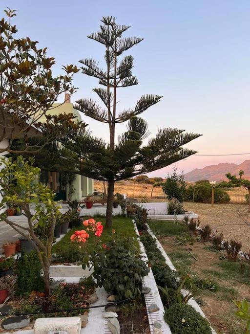Borgo Majoca - Μονοκατοικία Σε Κυκλαδίτικο Νησί Mési Eksteriør billede